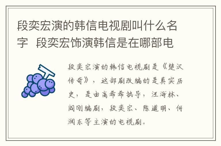 段奕宏演的韩信电视剧叫什么名字  段奕宏饰演韩信是在哪部电视剧中-九图集