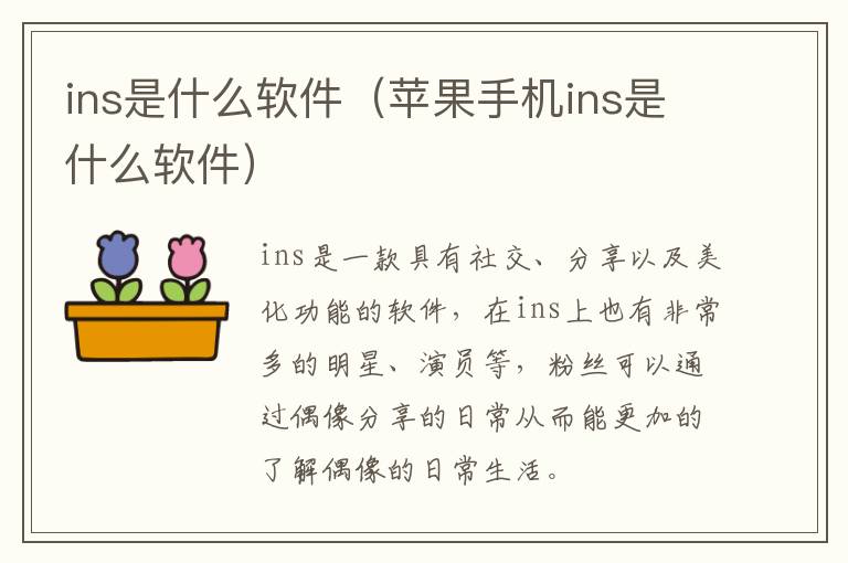 ins是什么软件（苹果手机ins是什么软件）-九图集