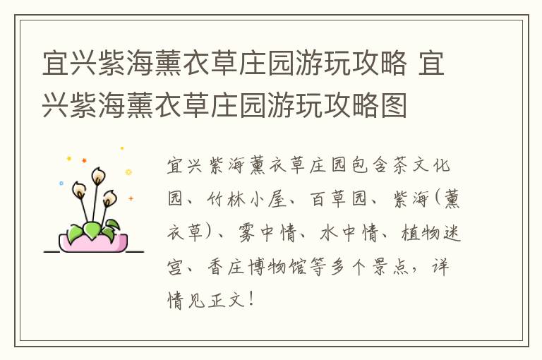 宜兴紫海薰衣草庄园游玩攻略 宜兴紫海薰衣草庄园游玩攻略图