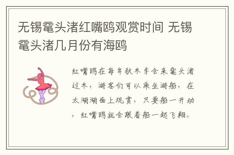 无锡鼋头渚红嘴鸥观赏时间 无锡鼋头渚几月份有海鸥-九图集