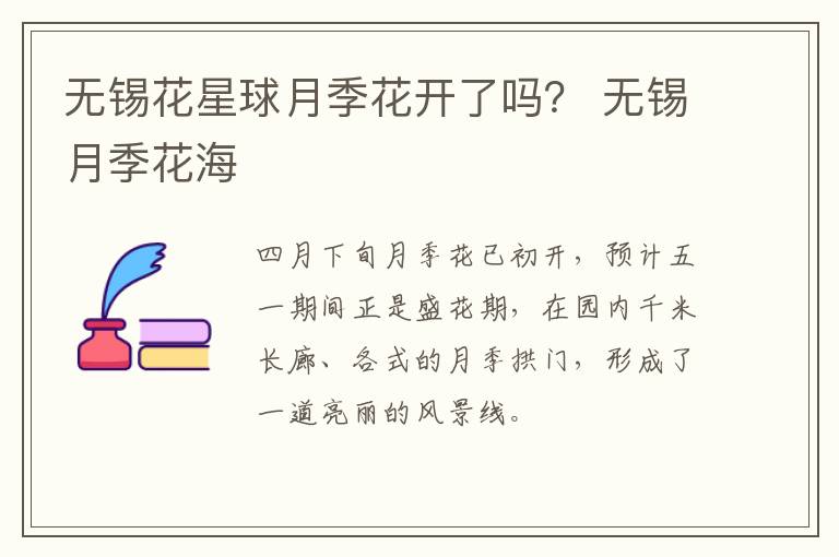 无锡花星球月季花开了吗？ 无锡月季花海