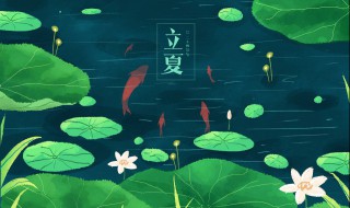 节气立夏是什么意思 立夏节气表示什么-九图集