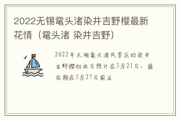 2022无锡鼋头渚染井吉野樱最新花情(鼋头渚 染井吉野)