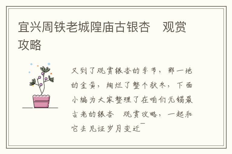 宜兴周铁老城隍庙古银杏​观赏攻略