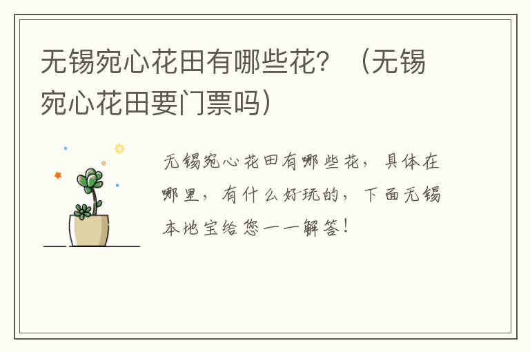 无锡宛心花田有哪些花？（无锡宛心花田要门票吗）-九图集