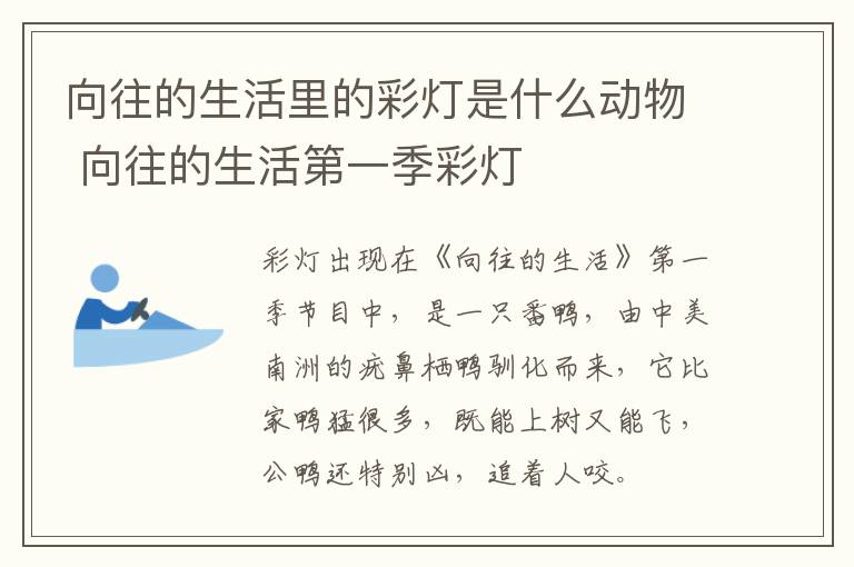 向往的生活里的彩灯是什么动物 向往的生活第一季彩灯