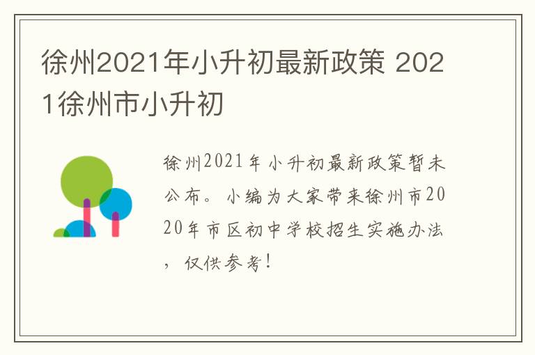 徐州2021年小升初最新政策 2021徐州市小升初-九图集