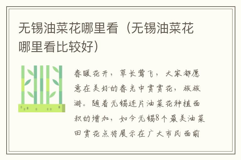无锡油菜花哪里看（无锡油菜花哪里看比较好）