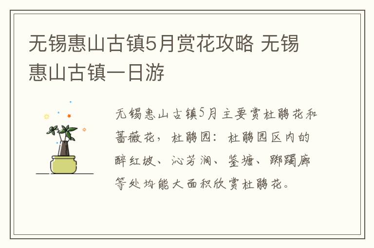 无锡惠山古镇5月赏花攻略 无锡惠山古镇一日游-九图集