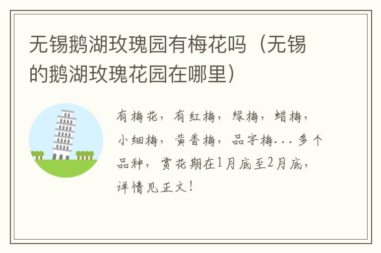 无锡鹅湖玫瑰园有梅花吗(无锡的鹅湖玫瑰花园在哪里)-九图集