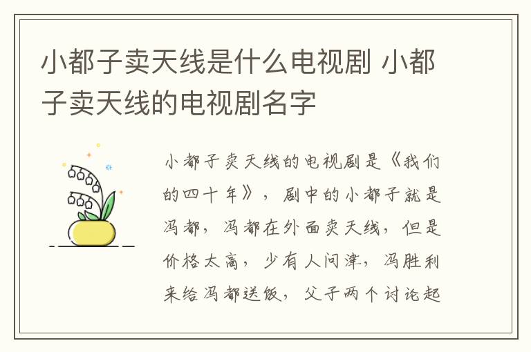 小都子卖天线是什么电视剧 小都子卖天线的电视剧名字