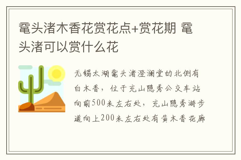 鼋头渚木香花赏花点+赏花期 鼋头渚可以赏什么花-九图集