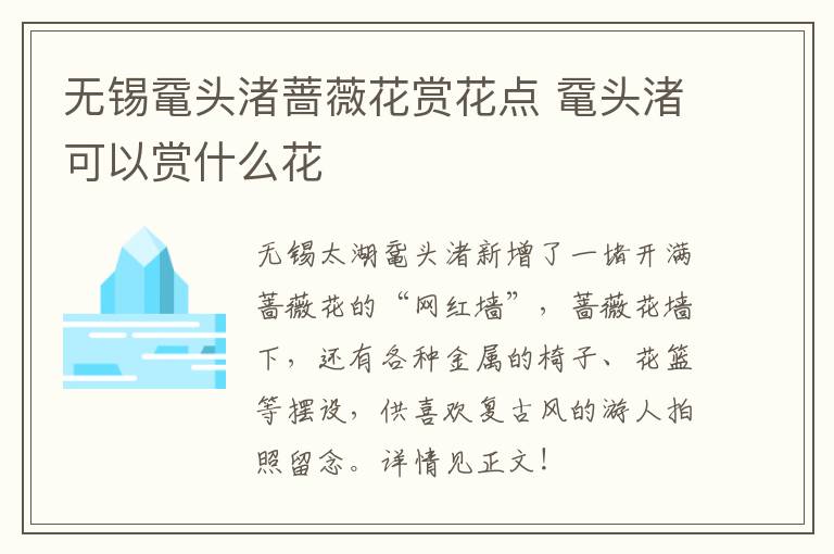 无锡鼋头渚蔷薇花赏花点 鼋头渚可以赏什么花-九图集