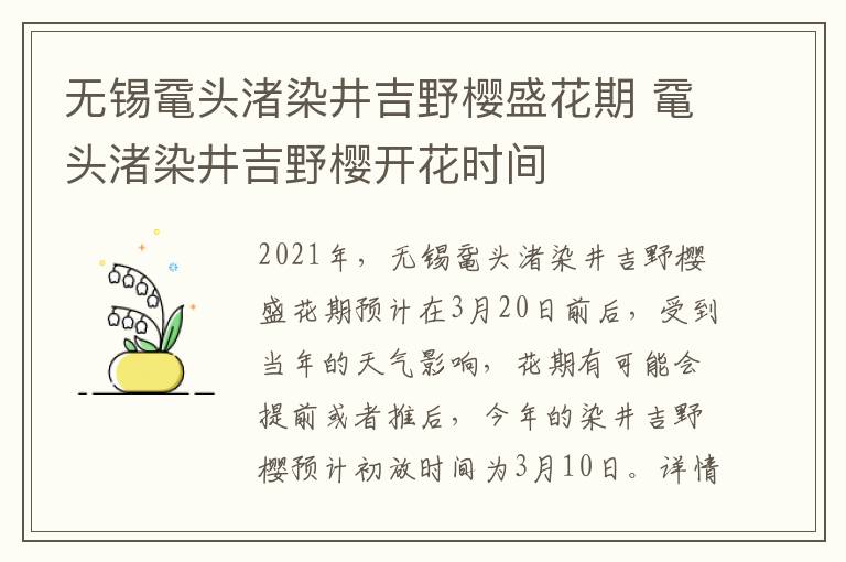无锡鼋头渚染井吉野樱盛花期 鼋头渚染井吉野樱开花时间-九图集