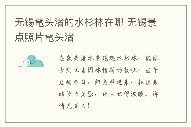 无锡鼋头渚的水杉林在哪 无锡景点照片鼋头渚-九图集