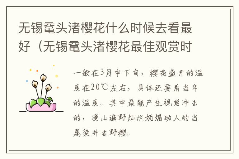 无锡鼋头渚樱花什么时候去看最好（无锡鼋头渚樱花最佳观赏时间2021年）