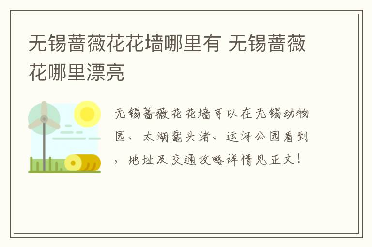 无锡蔷薇花花墙哪里有 无锡蔷薇花哪里漂亮-九图集