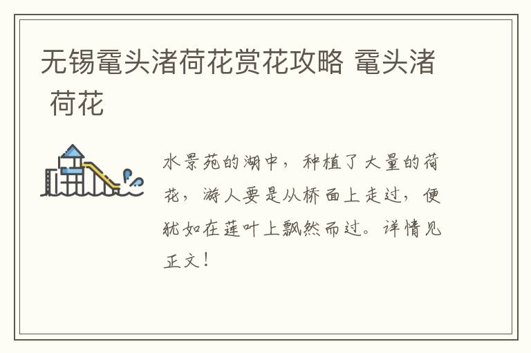 无锡鼋头渚荷花赏花攻略 鼋头渚 荷花