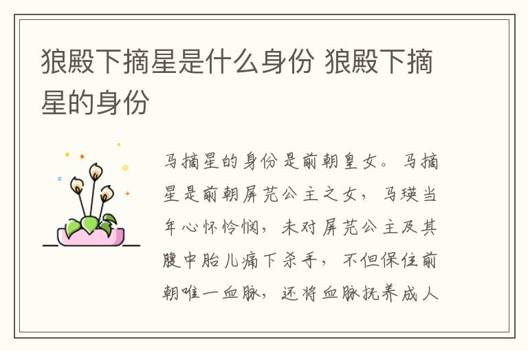 狼殿下摘星是什么身份 狼殿下摘星的身份-九图集