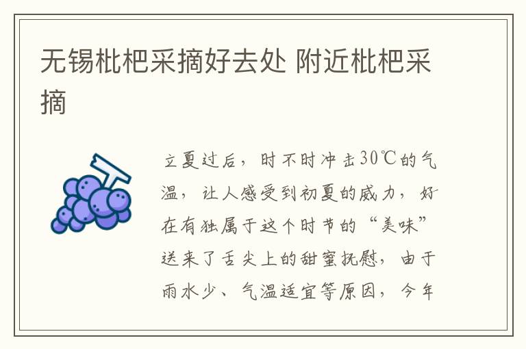 无锡枇杷采摘好去处 附近枇杷采摘-九图集