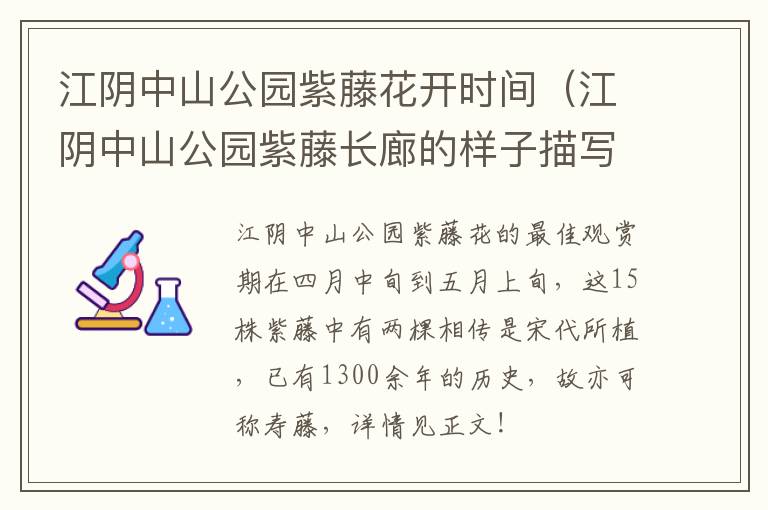 江阴中山公园紫藤花开时间（江阴中山公园紫藤长廊的样子描写）-九图集