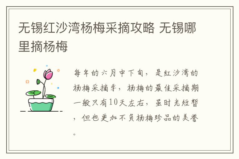 无锡红沙湾杨梅采摘攻略 无锡哪里摘杨梅-九图集