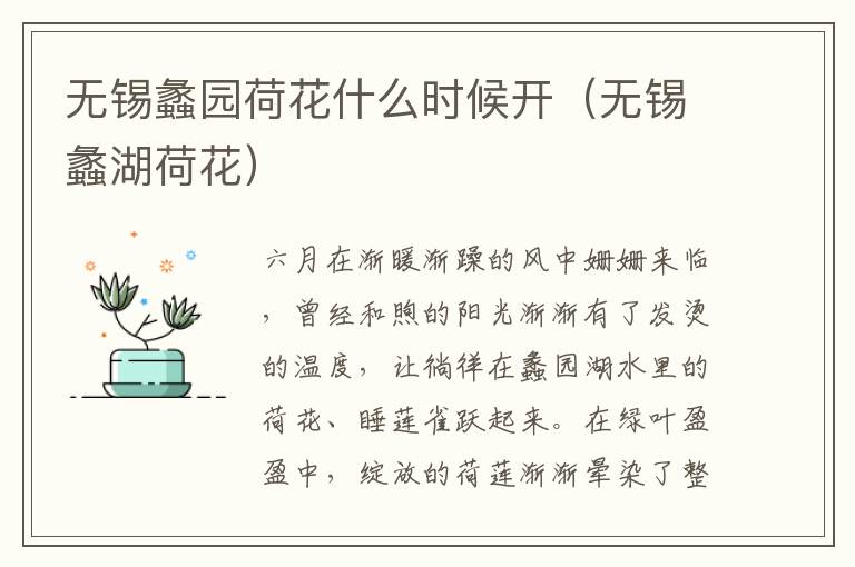 无锡蠡园荷花什么时候开(无锡蠡湖荷花)