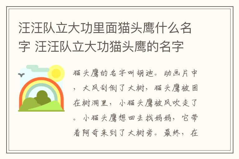汪汪队立大功里面猫头鹰什么名字 汪汪队立大功猫头鹰的名字