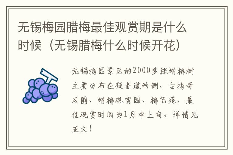 无锡梅园腊梅最佳观赏期是什么时候(无锡腊梅什么时候开花)-九图集