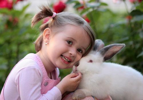 宝宝拉肚子药能放奶粉吗 拉肚药可以放在奶粉里喝吗-九图集