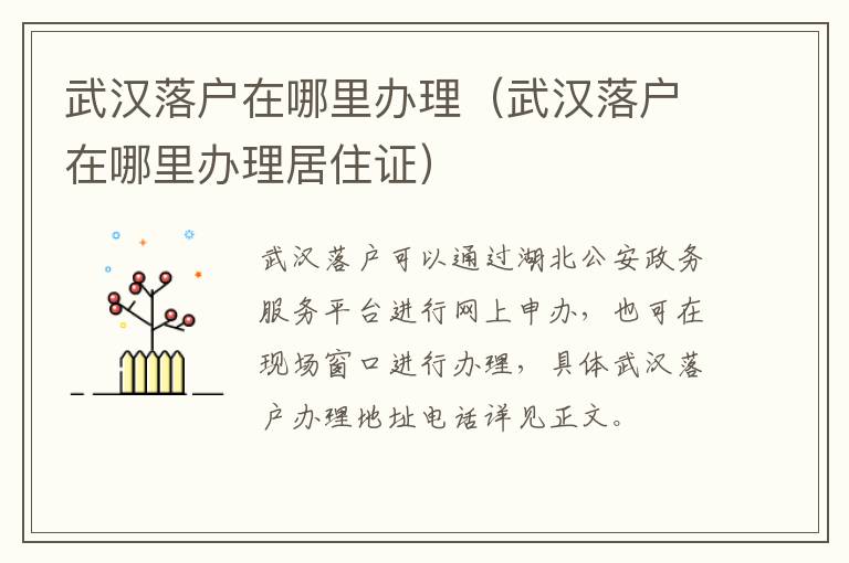 武汉落户在哪里办理（武汉落户在哪里办理居住证）-九图集