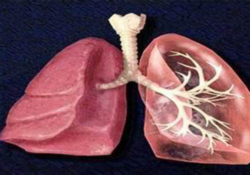 早产儿容易得哪些病 早产儿容易有哪些病-九图集