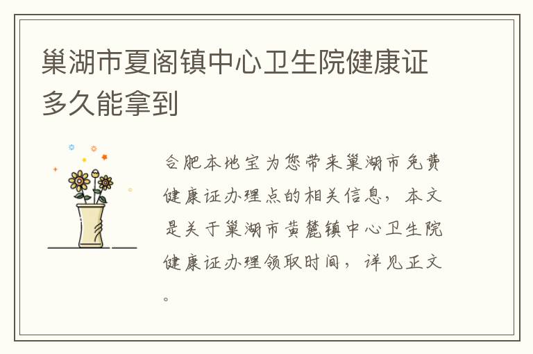 巢湖市夏阁镇中心卫生院健康证多久能拿到-九图集