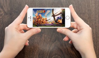 精灵宝可梦剑盾黏黏宝在哪（宝可梦剑盾找不到黏黏宝）-九图集