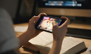 激战2什么职业厉害 激战2什么职业强-九图集