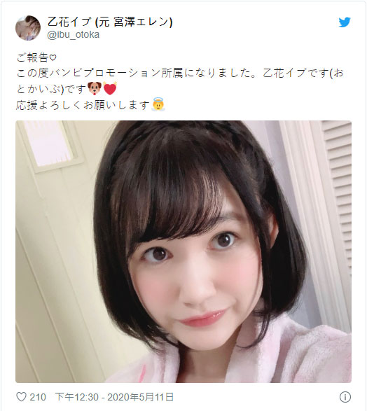 乙花イブ(乙花伊部，Otoka-Ibu)品番SYBI-008简介及预览-九图集