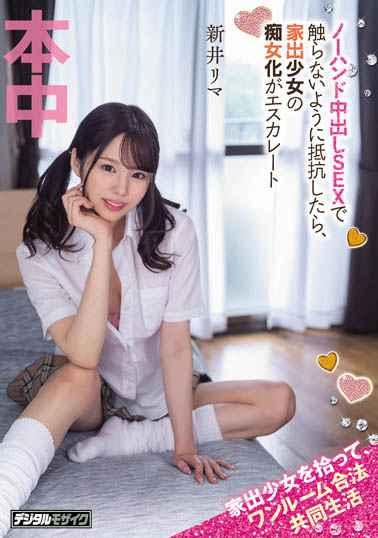 新井リマ（新井里真）品番HMN-273简介及预览-九图集