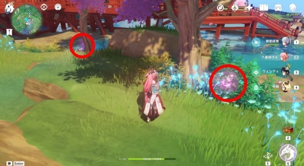 《原神》绯樱绣球在哪获得?《原神》绯樱绣球位置及获取方法