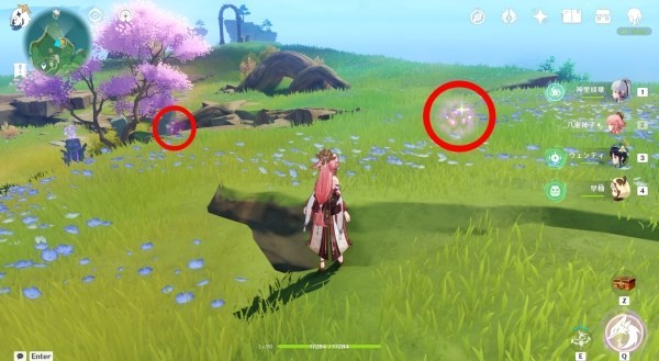 《原神》绯樱绣球在哪获得?《原神》绯樱绣球位置及获取方法