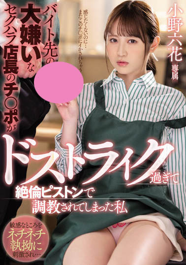 小野六花品番MIDV-175简介及预览-九图集