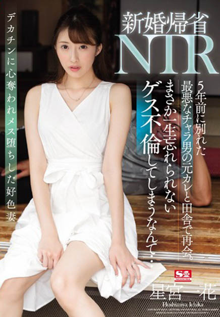 星宫一花(Hoshimiya-Ichika)品番SSNI-869简介及预览-九图集