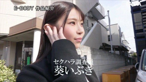 葵いぶき(葵伊吹)最新作品EBWH-348介绍及封面预览